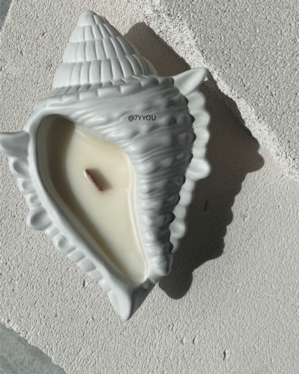 Ocean Shankha– Coastal Decor starting at just Rs 139/- - Image 2